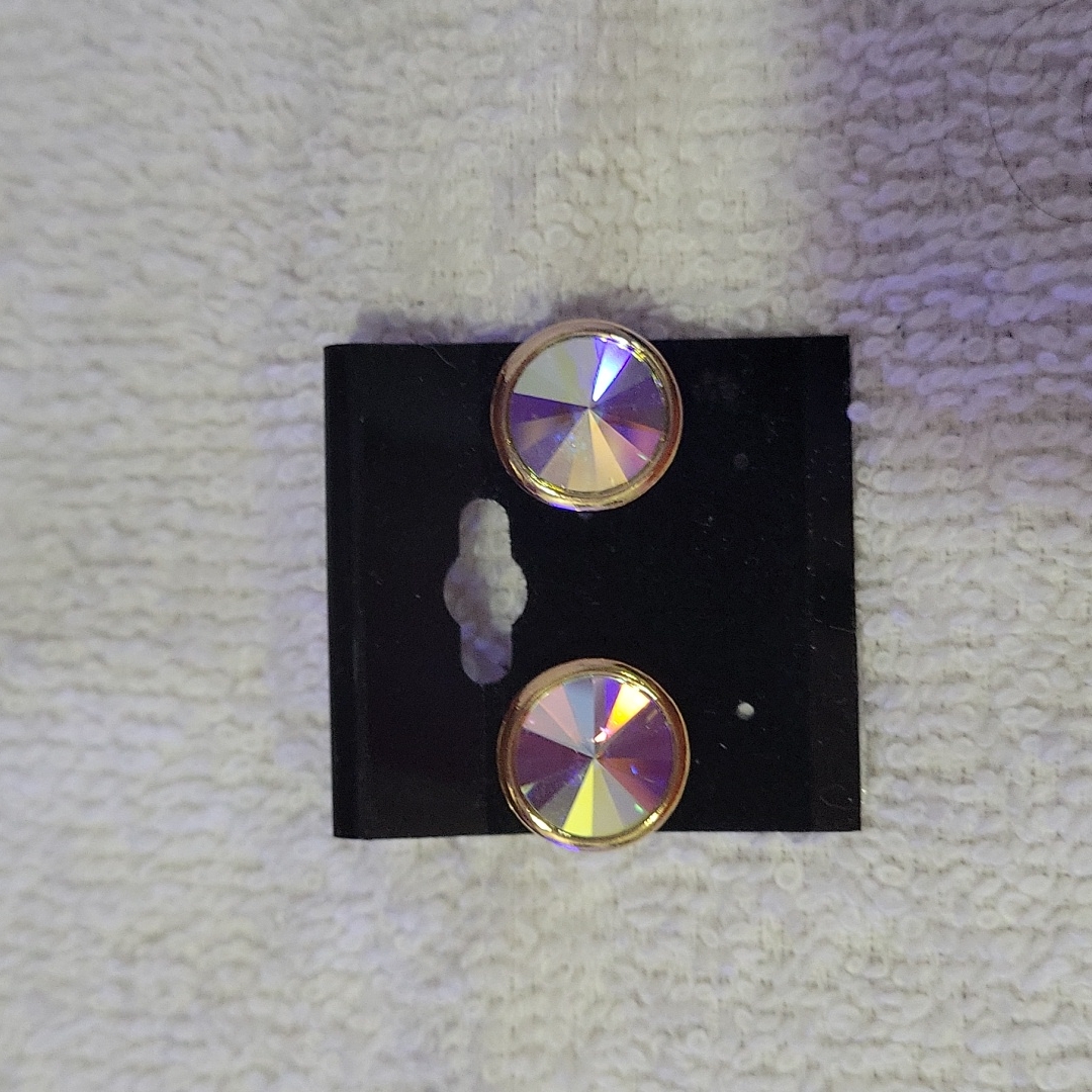 Prism Colored Round Pierced Earrings